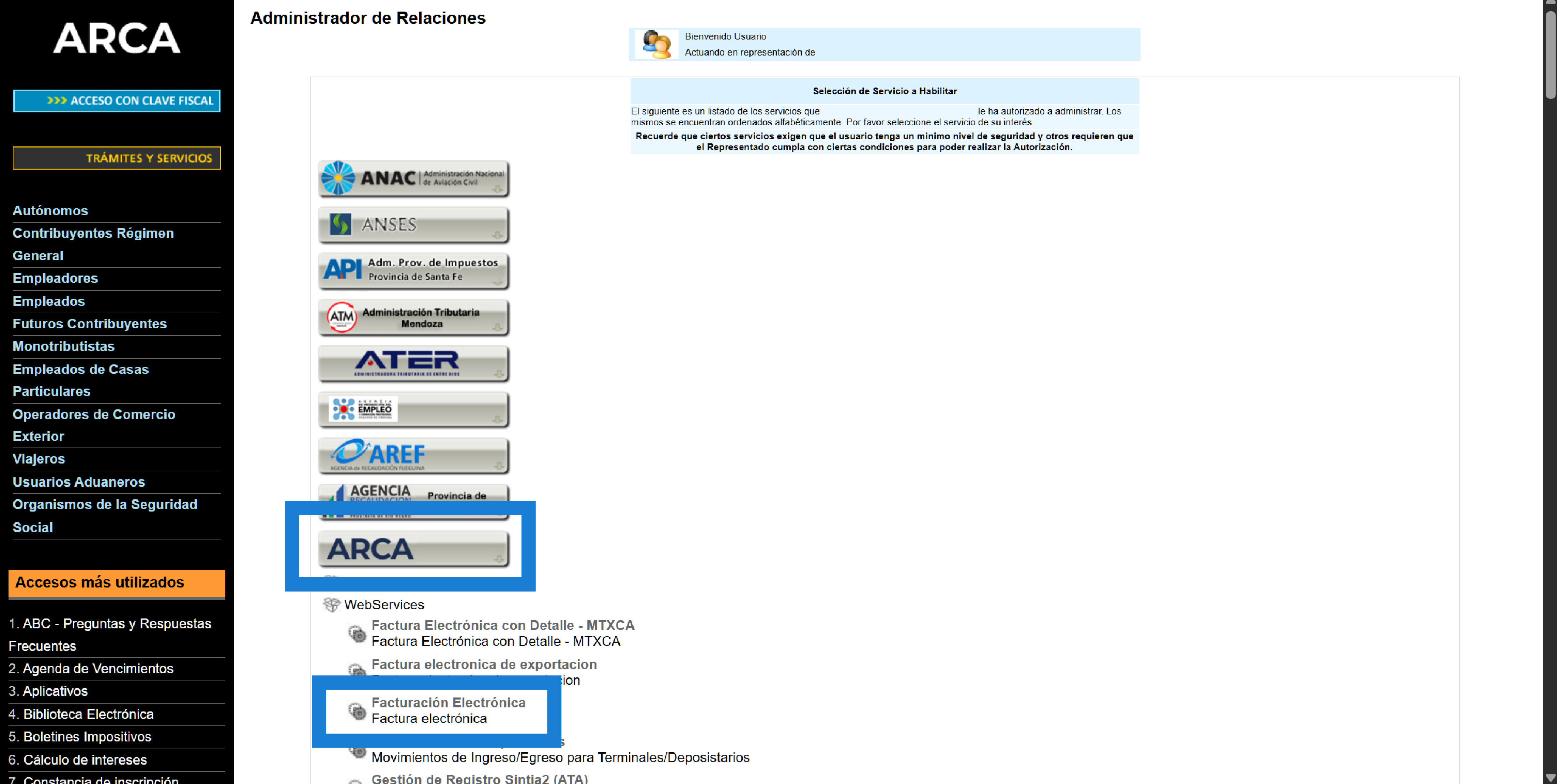 Seleccion del servicio Facturacion Electronica en ARCA